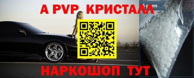 спайс Малгобек