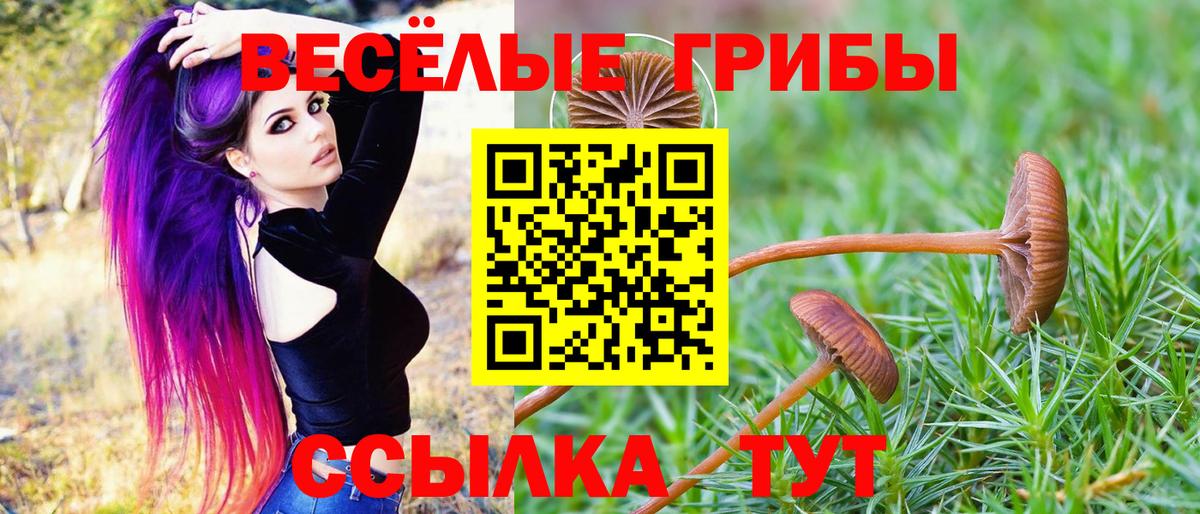 Галлюциногенные грибы Magic Shrooms  Вход с VPN  Озёры 